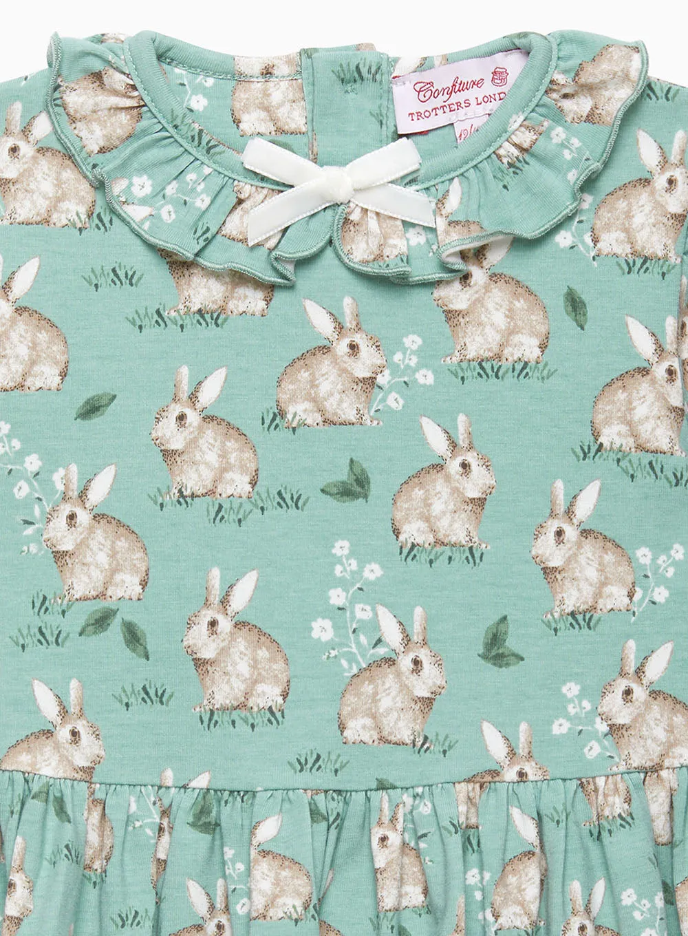 Baby Jersey Dress in Pale Green Bunny