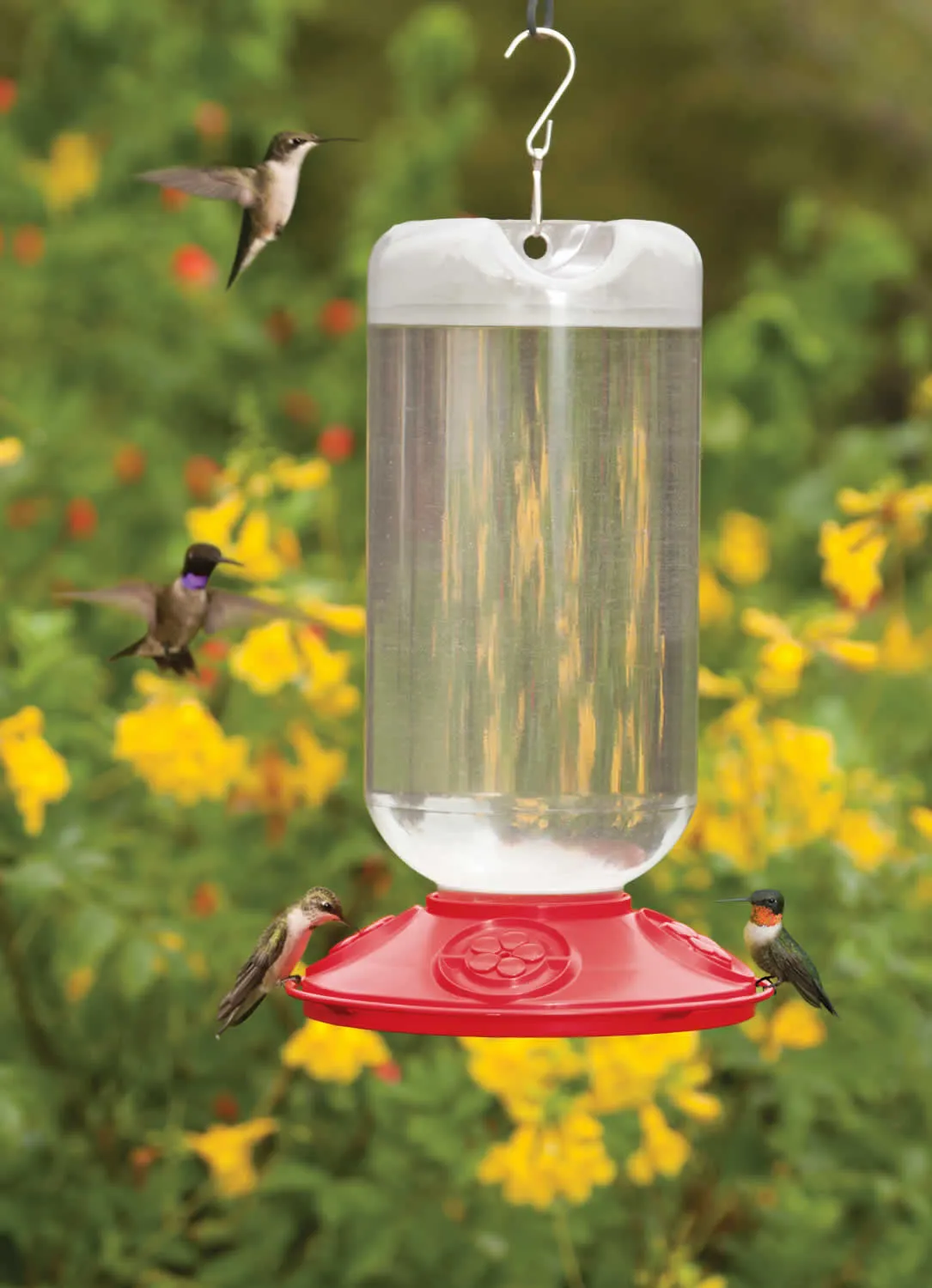 Dr. JB's Hummingbird Feeder 80oz